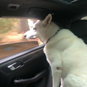 Meet your Posher, Jenna